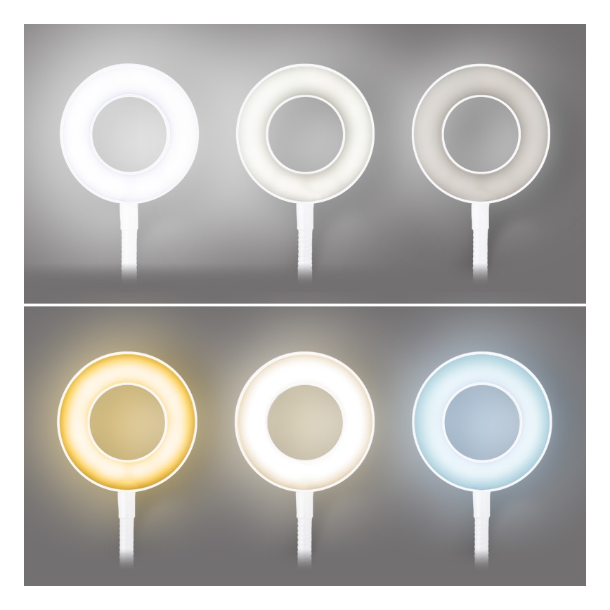 Brilagi - Lampada LED dimmerabile con clip ORBELA LED/8W/5V 3000/4000/5000K bianca