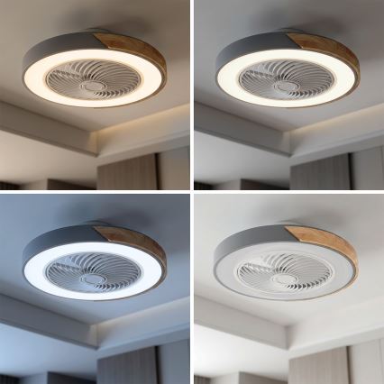 Brilagi - Plafoniera LED dimmerabile con ventilatore, 38W/230V, 3000-6500K, Ø 50 cm, grigio/rovere + telecomando