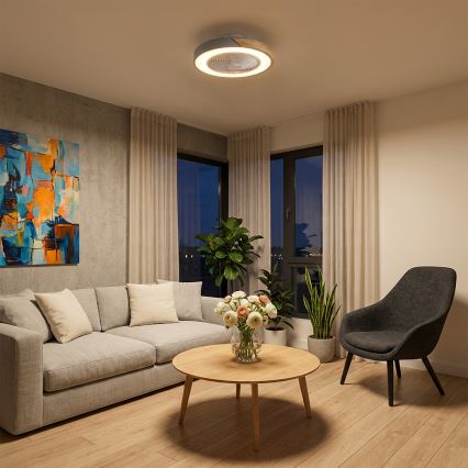 Brilagi - Plafoniera LED dimmerabile con ventilatore, 38W/230V, 3000-6500K, Ø 50 cm, grigio/rovere + telecomando