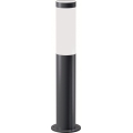 Brilagi - Lampada LED dimmerabile da esterno ELIA 1xE27/6W/230V 2700-6500K IP44 Wi-Fi 50 cm antracite