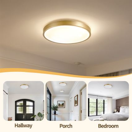 Brilagi - Plafoniera LED dimmerabile GLASS POOL DOUBLE LED/48W/230V 3000-6000K 40 cm dorata + telecomando