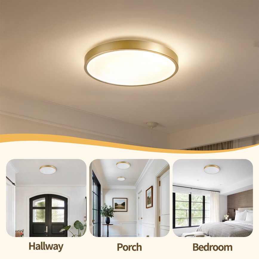 Brilagi - Plafoniera LED dimmerabile GLASS POOL DOUBLE LED/48W/230V 3000-6000K 40 cm dorata + telecomando