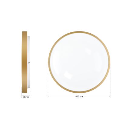 Brilagi - Plafoniera LED dimmerabile GLASS POOL DOUBLE LED/48W/230V 3000-6000K 40 cm dorata + telecomando