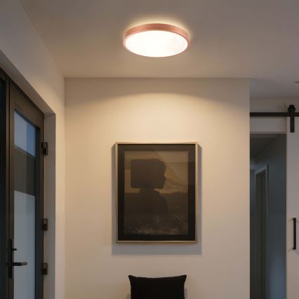 BRILAGI - LED Plafoniera dimmerabile GLASS POOL DOUBLE LED/48W/230V Ø 40 cm rame + telecomando