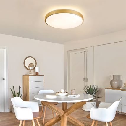 Brilagi - Plafoniera dimmerabile a LED GLASS POOL DOUBLE LED/60W/230V 3000-6000K 50 cm dorata + telecomando