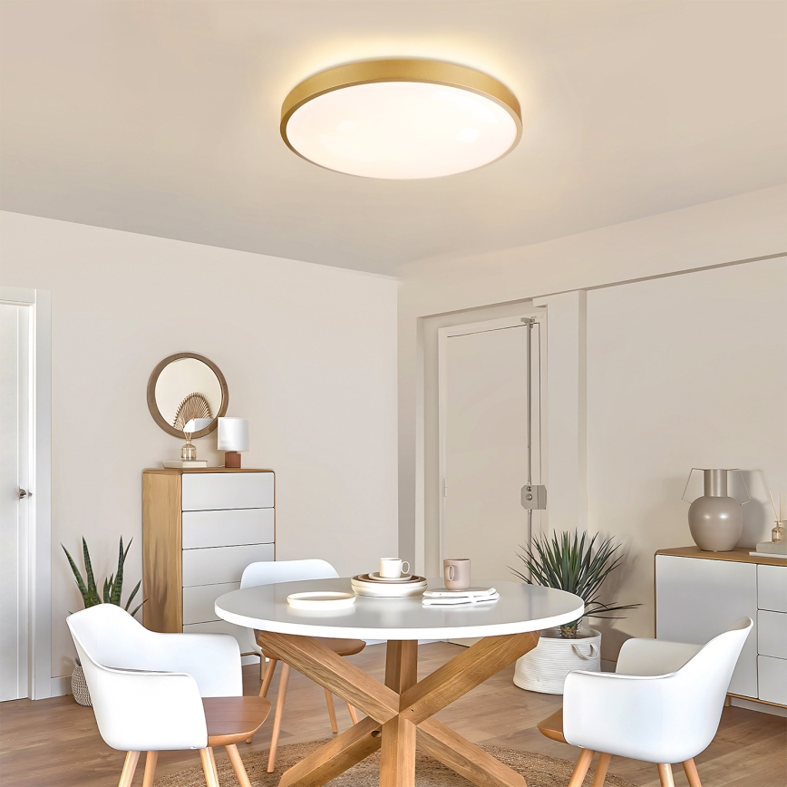 Brilagi - Plafoniera dimmerabile a LED GLASS POOL DOUBLE LED/60W/230V 3000-6000K 50 cm dorata + telecomando