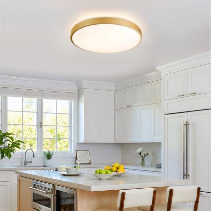 Brilagi - Plafoniera dimmerabile a LED GLASS POOL DOUBLE LED/60W/230V 3000-6000K 50 cm dorata + telecomando