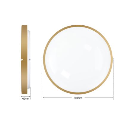 Brilagi - Plafoniera dimmerabile a LED GLASS POOL DOUBLE LED/60W/230V 3000-6000K 50 cm dorata + telecomando