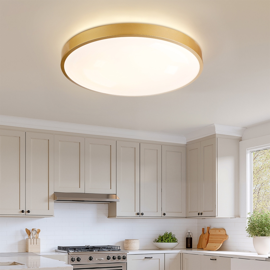 Brilagi - Plafoniera LED dimmerabile GLASS POOL DOUBLE LED/80W/230V 3000-6000K 60 cm dorata + telecomando