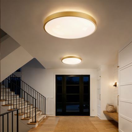 Brilagi - Plafoniera LED dimmerabile GLASS POOL DOUBLE LED/80W/230V 3000-6000K 60 cm dorata + telecomando