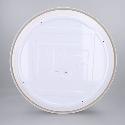 Brilagi - Plafoniera dimmerabile LED MATTEO LED/60W/230V 3000-6500K Ø 51,5 cm tortora + telecomando