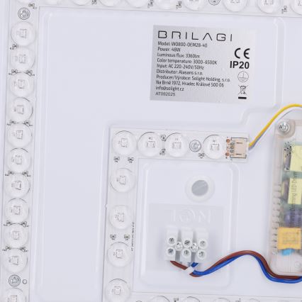 Brilagi - Plafoniera LED dimmerabile NAOMI LED/48W/230V 3000–6500K Ø 39 cm nera + telecomando