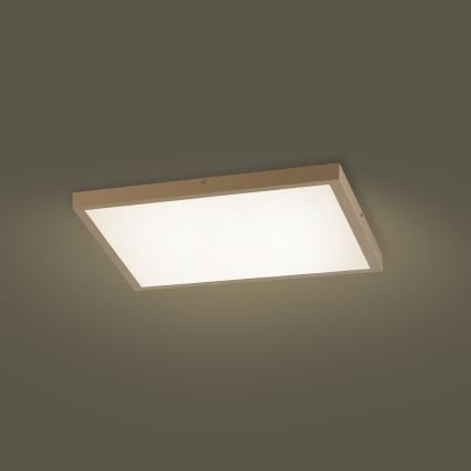 Brilagi - FRAME SMART Lampada da soffitto LED dimmerabile per bagno 50W/230V 60x60 cm 3000-6000K IP44 Beige + Telecomando