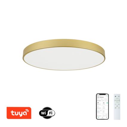 Brilagi - Plafoniera LED dimmerabile POOL SMART LED/100W/230V 3000-6000K 80 cm dorata Wi‑Fi Tuya + telecomando