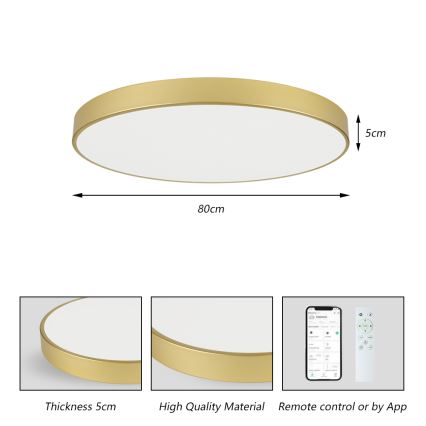 Brilagi - Plafoniera LED dimmerabile POOL SMART LED/100W/230V 3000-6000K 80 cm dorata Wi‑Fi Tuya + telecomando
