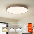 Brilagi - Lampada LED dimmerabile POOL SMART LED/100W/230V Ø80 cm 3000–6000K Wi‑Fi Tuya + telecomando marrone