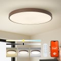 Brilagi - Lampada LED dimmerabile POOL SMART LED/128W/230V Ø 100 cm 3000-6000K Wi-Fi Tuya + telecomando, marrone