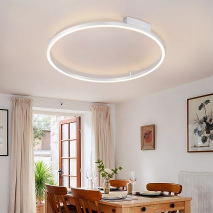 Brilagi - Plafoniera dimmerabile a LED PORTOFINO LED/60W/230V 3000-6000K Ø 80 cm argento + telecomando