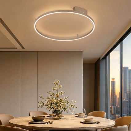 BRILAGI - Plafoniera LED dimmerabile PORTOFINO LED/60W/230V 3000-6000K Ø 80 cm beige + telecomando