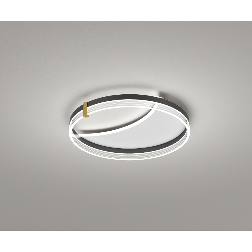 Brilagi - Plafoniera LED dimmerabile SIRELI LED/47W/230V 3000–6000K Ø 40 cm + telecomando