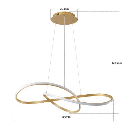 Brilagi - Lampadario LED dimmerabile a sospensione su cavi INFINITY LED/80W/230V 3000-6000K 80x80 cm dorato + telecomando