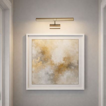 Brilagi - Lampada per quadri DANAE 2xE14/40W/230V dorata