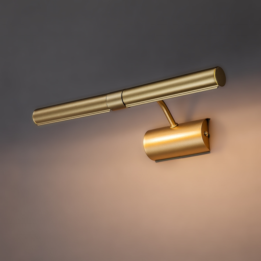 Brilagi - Lampada per quadri DANAE 2xE14/40W/230V dorata