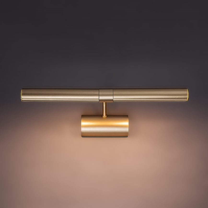 Brilagi - Lampada per quadri DANAE 2xE14/40W/230V dorata