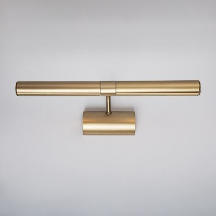 Brilagi - Lampada per quadri DANAE 2xE14/40W/230V dorata