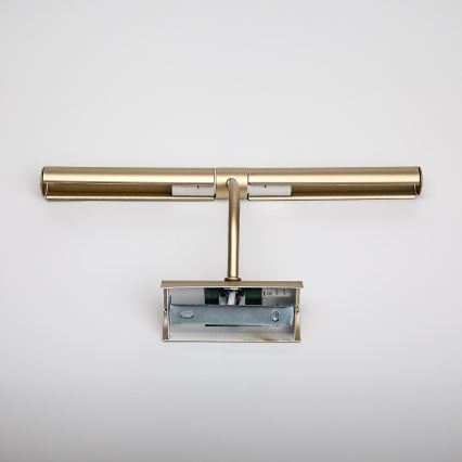 Brilagi - Lampada per quadri DANAE 2xE14/40W/230V dorata