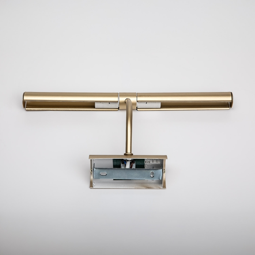 Brilagi - Lampada per quadri DANAE 2xE14/40W/230V dorata