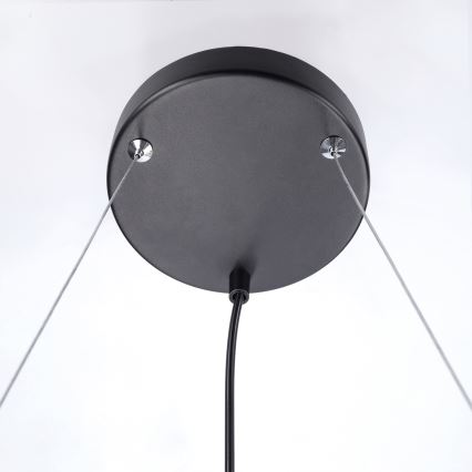 BRILAGI - Lampadario a cavo SELE 4xGU10/30W/230V nero