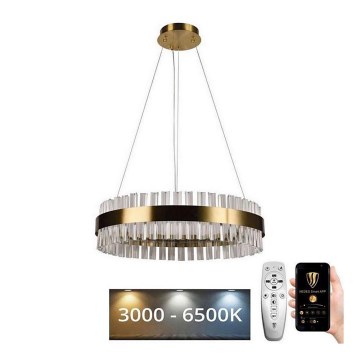 Brilagi - Lampadario a LED dimmerabile in cristallo su cavo HALO LED/40W/230V 3000-6500K Ø 60 cm + telecomando