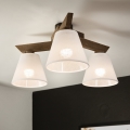 Brilagi - Lampadario a plafone ANTHONY 3xE14/40W/230V quercia/bianco