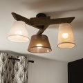 Brilagi - Lampadario a plafone ANTHONY 3xE14/40W/230V quercia