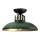 Brilagi - Lampadario a plafone FLAMENGO 1xE27/60W/230V verde