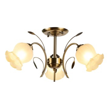 Brilagi - Lampadario a plafone FLORA 3xE27/60W/230V bronzo