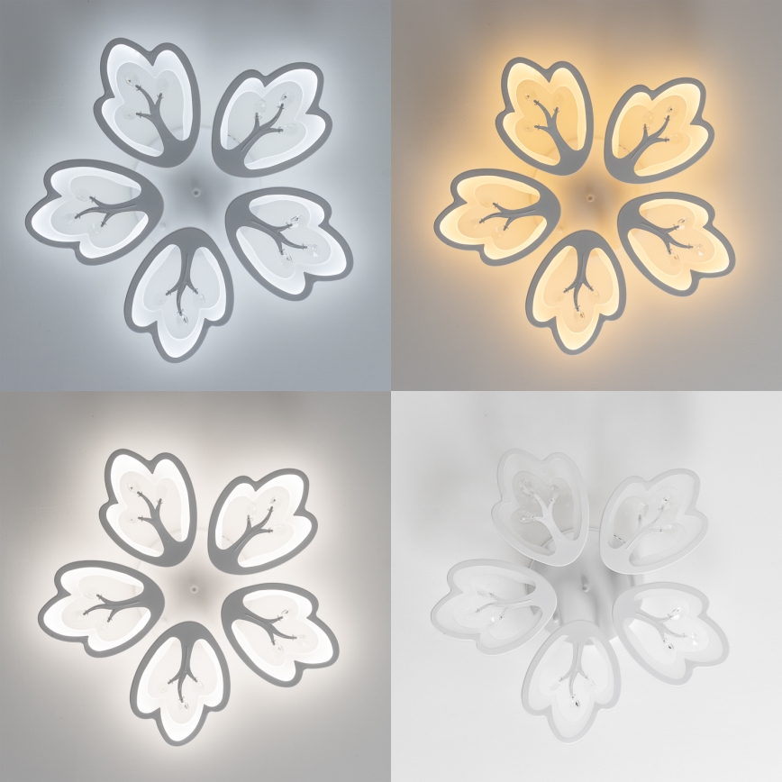 Brilagi - Lampadario a plafone LED dimmerabile TWIST LED/80W/230V 3000-6500K bianco + telecomando