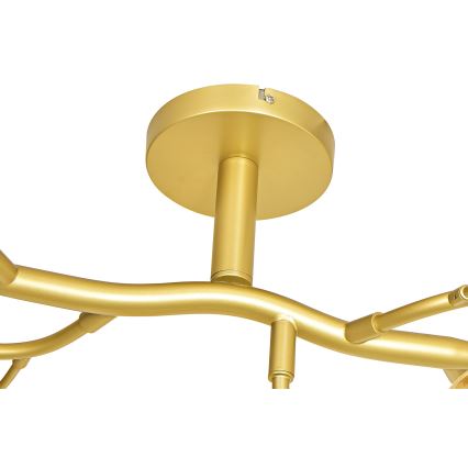Brilagi - Lampadario a plafone LED MISTEL 15xG9/3W/230V oro/bianco