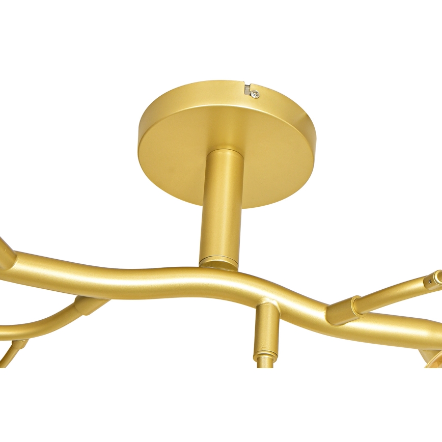 Brilagi - Lampadario a plafone LED MISTEL 15xG9/3W/230V oro