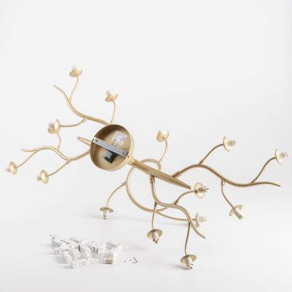 Brilagi - Lampadario a plafone LED MISTEL 15xG9/3W/230V oro