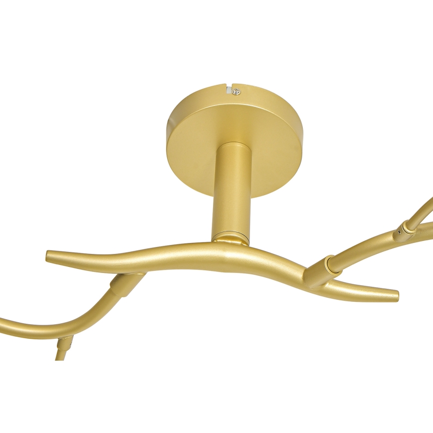 Brilagi - Lampadario a plafone LED MISTEL 6xG9/3W/230V oro