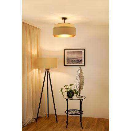 Brilagi - Lampadario a plafone OREGON VEGE 1xE27/15W/230V diametro 45 cm beige