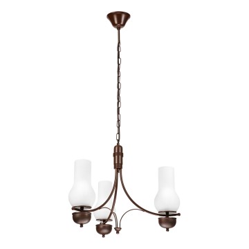 Brilagi - Lampadario a sospensione con catena COTTAGE 3xE14/40W/230V quercia/bianco