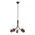 Brilagi - Lampadario a sospensione con catena COTTAGE 5xG9/40W/230V quercia/bianco