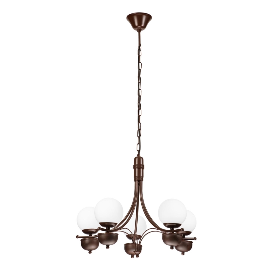 Brilagi - Lampadario a sospensione con catena COTTAGE 5xG9/40W/230V quercia/bianco