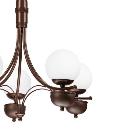 Brilagi - Lampadario a sospensione con catena COTTAGE 5xG9/40W/230V quercia/bianco
