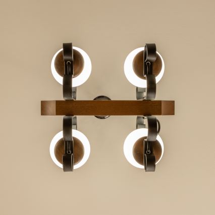 Brilagi - Lampadario a sospensione con catena QUEEN 4xE14/40W/230V faggio/noce