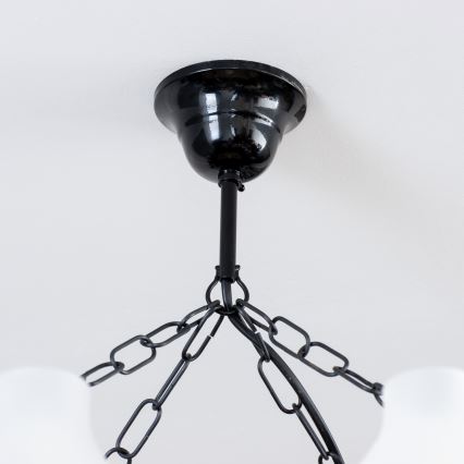 Brilagi - Lampadario a sospensione con catena QUEEN 8xE14/40W/230V faggio/noce