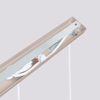 Brilagi - Lampadario a sospensione con filo CRESTO 3xGU10/10W/230V taupe